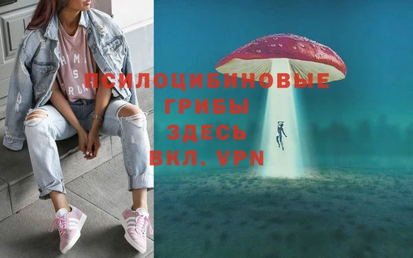 тгк Бронницы