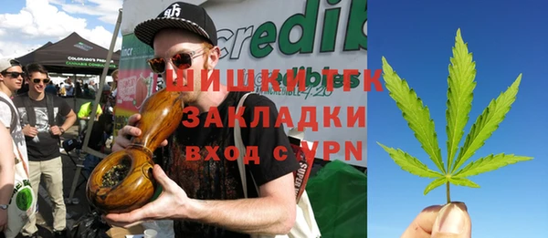 тгк Бронницы