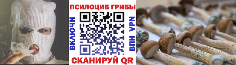 Галлюциногенные грибы Cubensis  дарк нет наркотические препараты  Горняк 