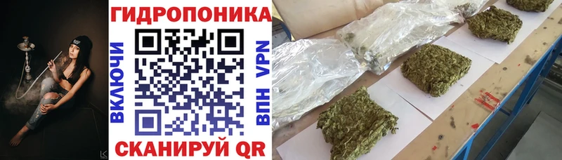 МЕГА tor  что такое наркотик  Горняк  Конопля THC 21% 